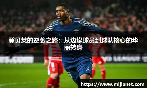 完美.(中国)体育官方网站